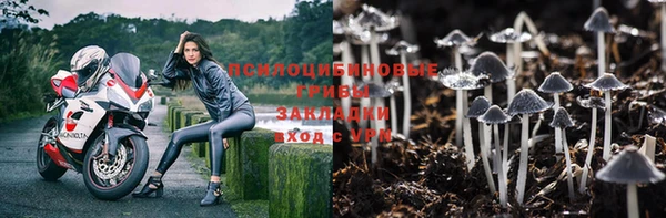 стаф Абинск
