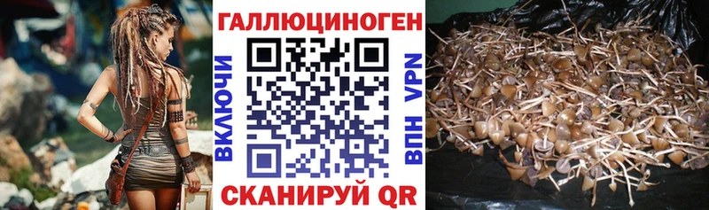 маркетплейс официальный сайт  наркота  Новочебоксарск  Галлюциногенные грибы Magic Shrooms 