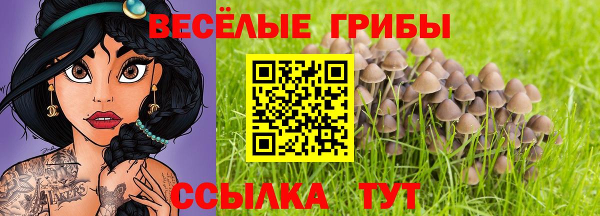 дарнет шоп  Галлюциногенные грибы MAGIC MUSHROOMS  Вход с VPN  Новочебоксарск 